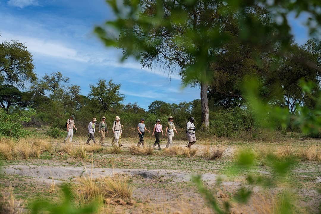 African Monarch Lodges Bush Walk