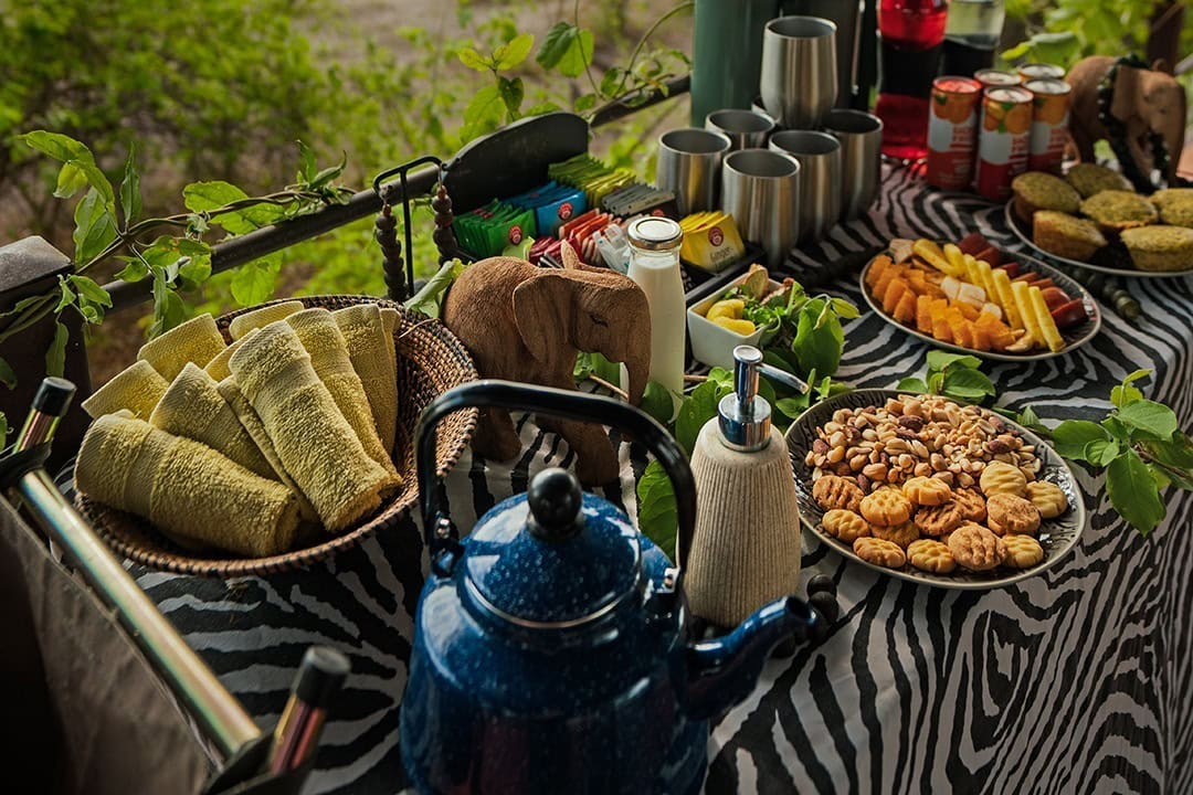African Monarch Lodges Bush Walk