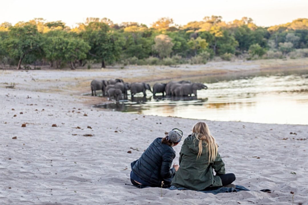 African Monarch Lodges Elephant Viewing