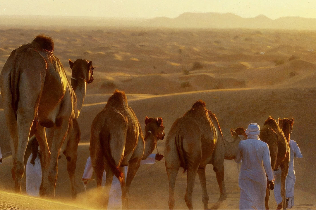Retreat in Egypt